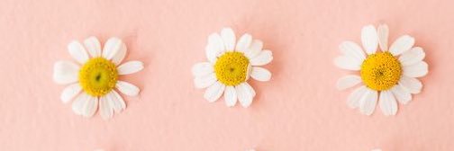 __Aymet's profile banner image
