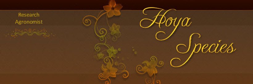 HoyaDale's profile banner image
