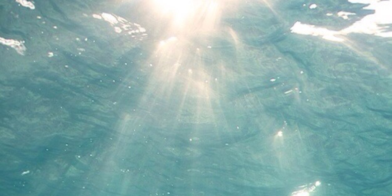 gracemgioia's profile banner image