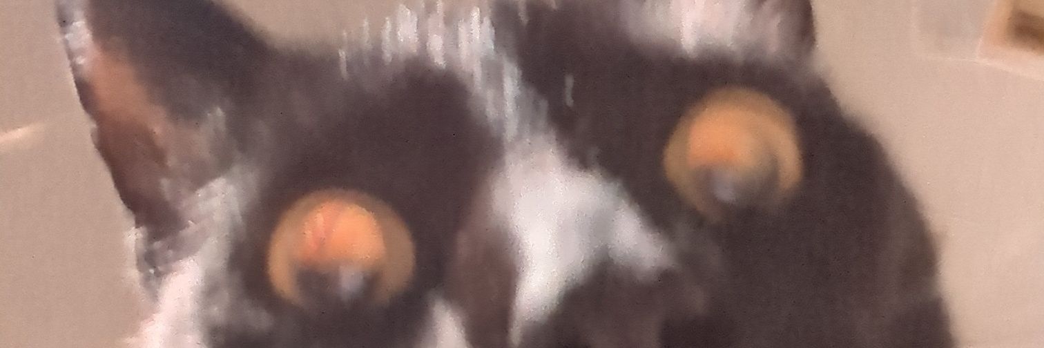drakedefee12's profile banner image