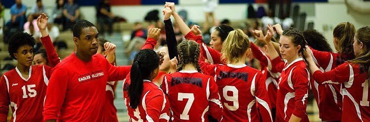 Edison Volleyball banner