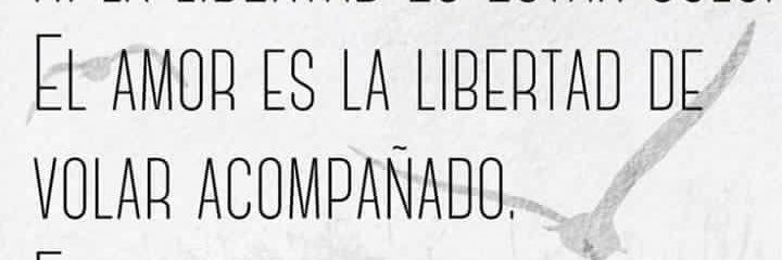 Pkitas's profile banner image