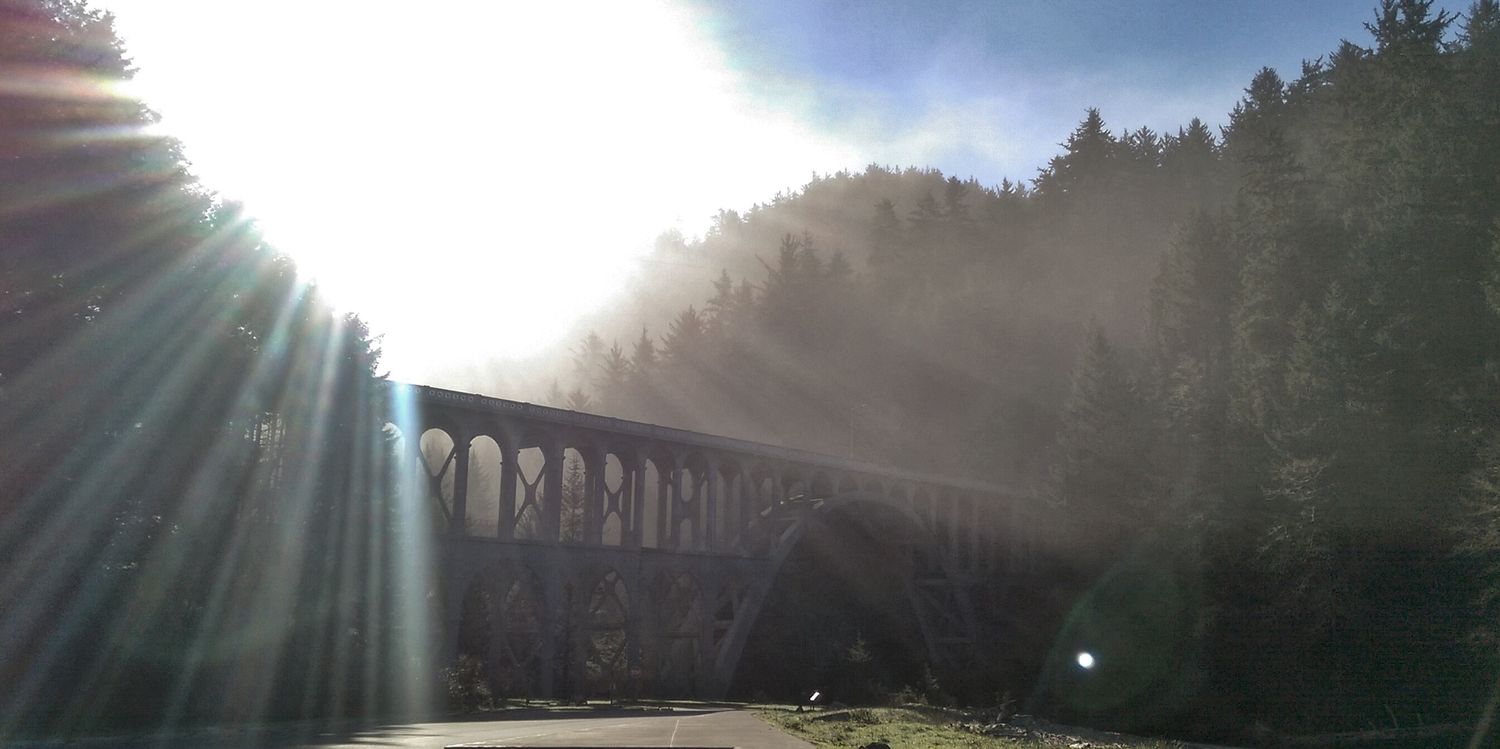 firstnaturetour's profile banner image