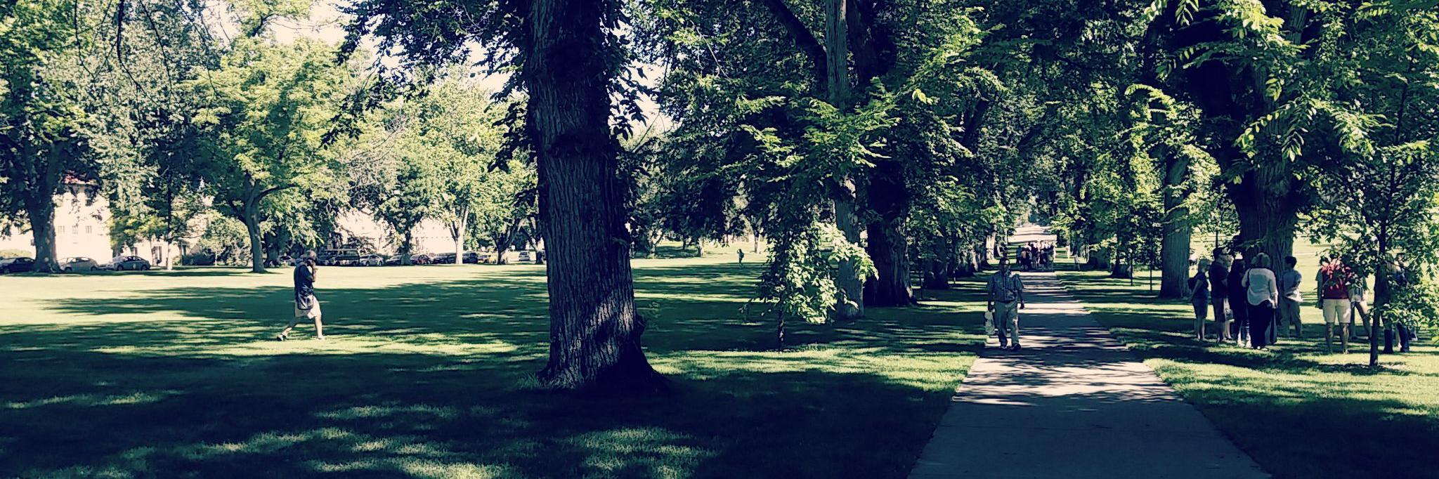 GretchenGerding's profile banner image