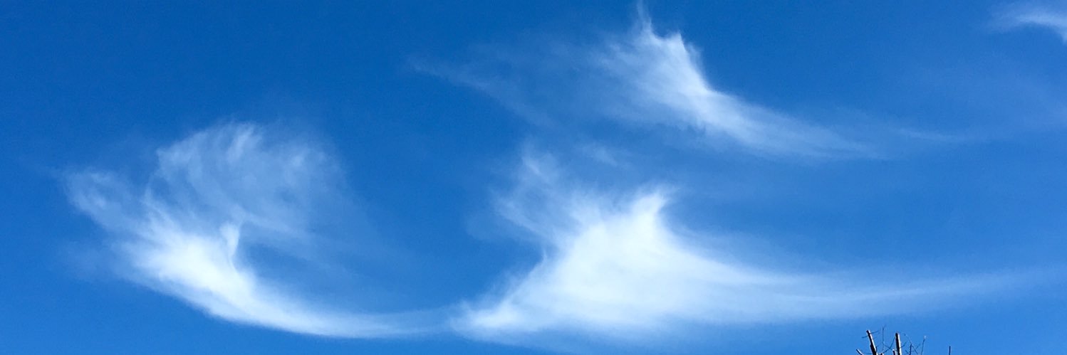 MEWKimbro's profile banner image
