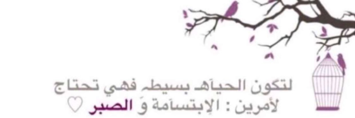 haifaa55Sa's profile banner image