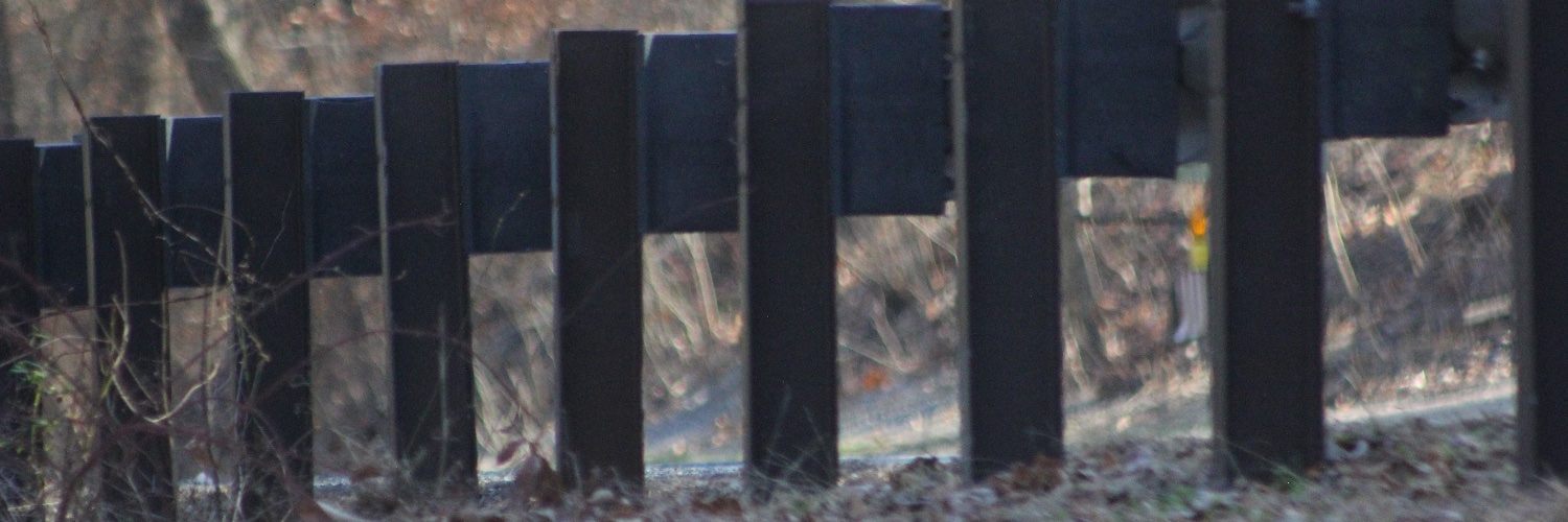 rickblum's profile banner image