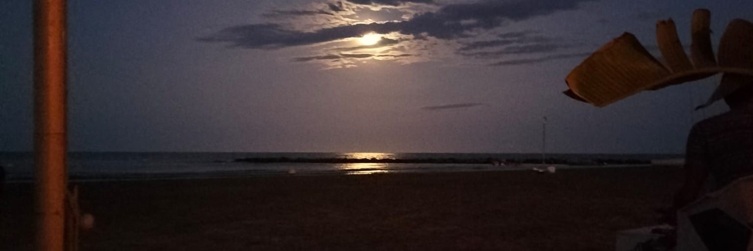 amparo_felip's profile banner image