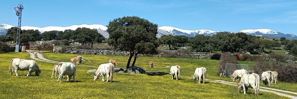 jlopezcol Profile Banner