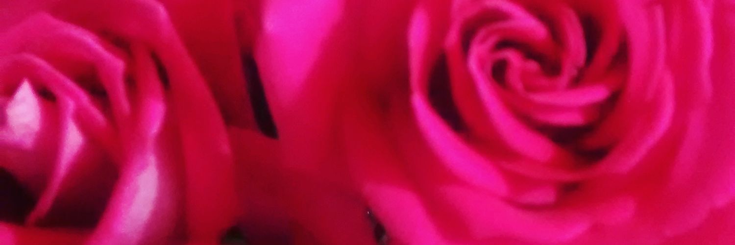 MercedesHT's profile banner image