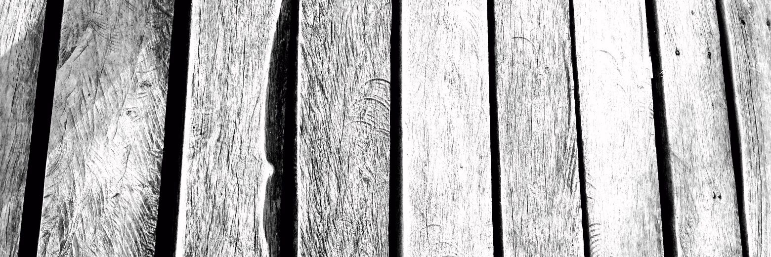 Yanina_Tp's profile banner image