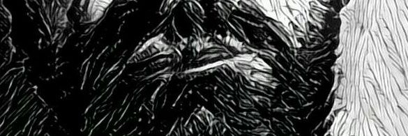 FraMoriconi's profile banner image