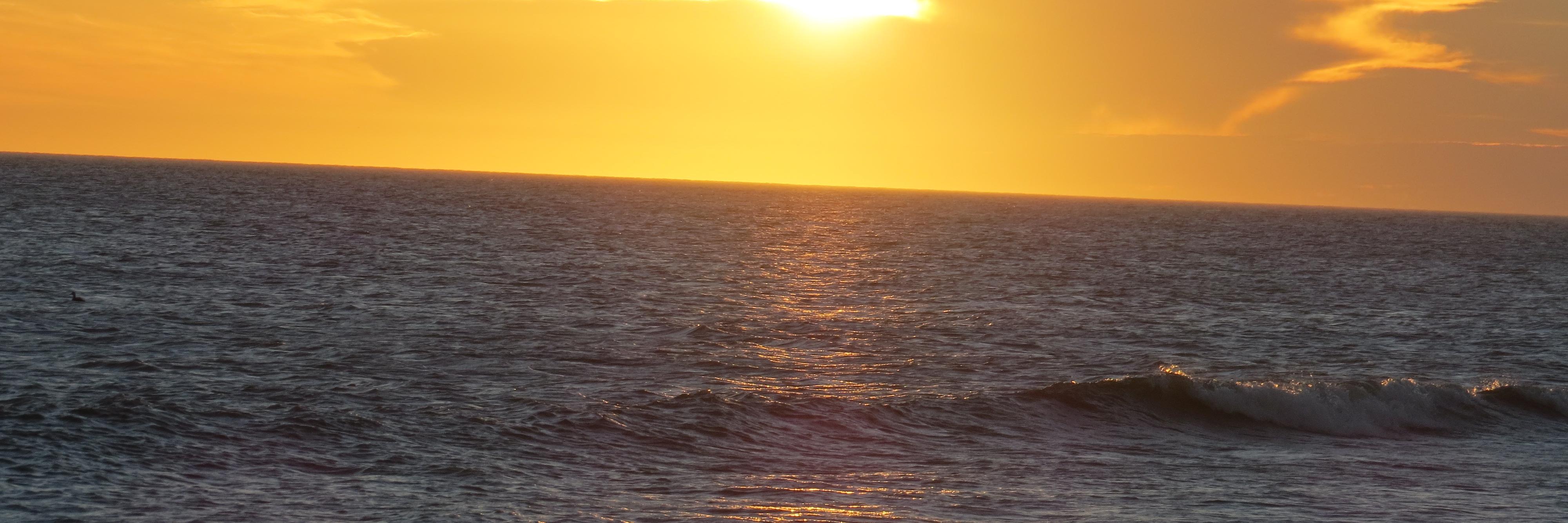 mjcprz1's profile banner image