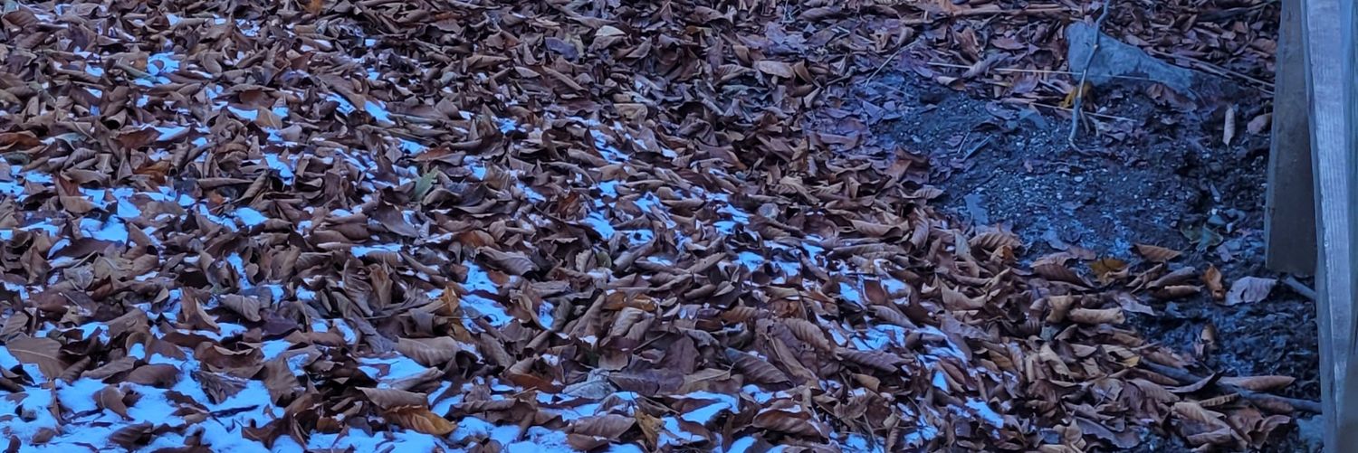 ecmazp's profile banner image