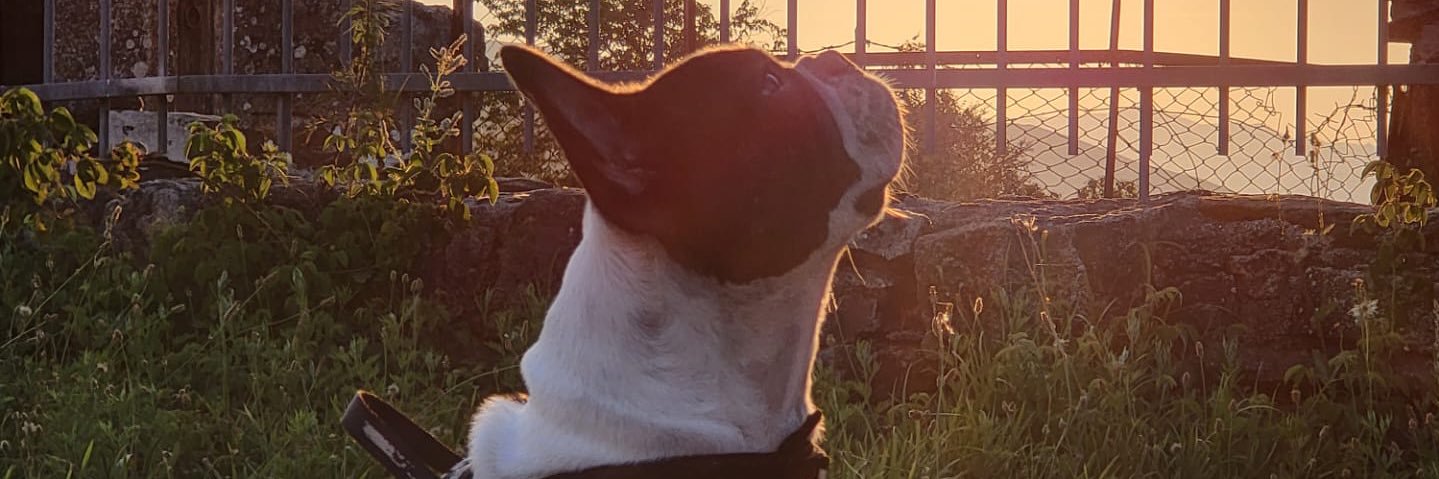 BecasMendesbm's profile banner image
