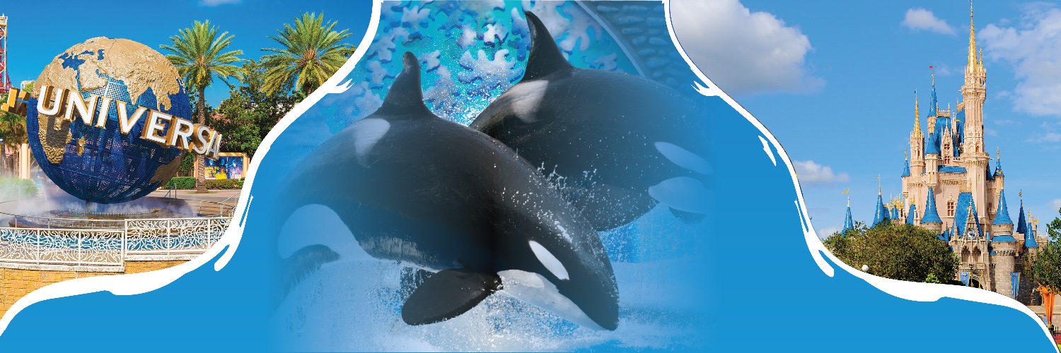 florida_escapes's profile banner image
