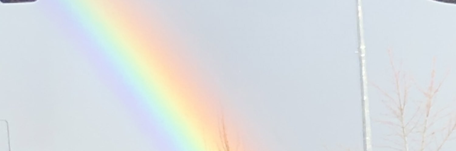 thatdisastergay's profile banner image