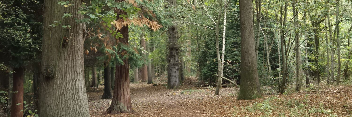 viv marsh banner