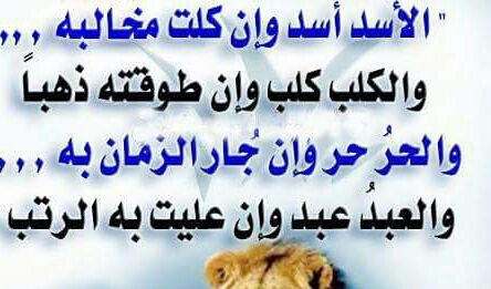 فوزي العابد banner