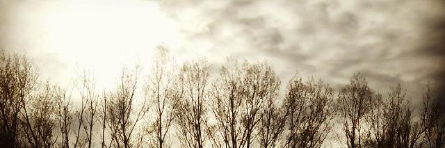 a_lucendo's profile banner image