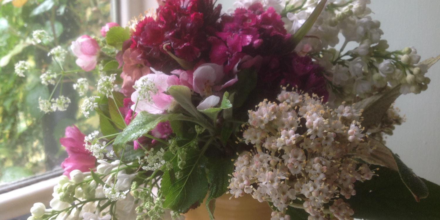 Bordcotflowers's profile banner image