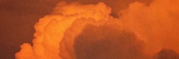 paulapoletti Profile Banner