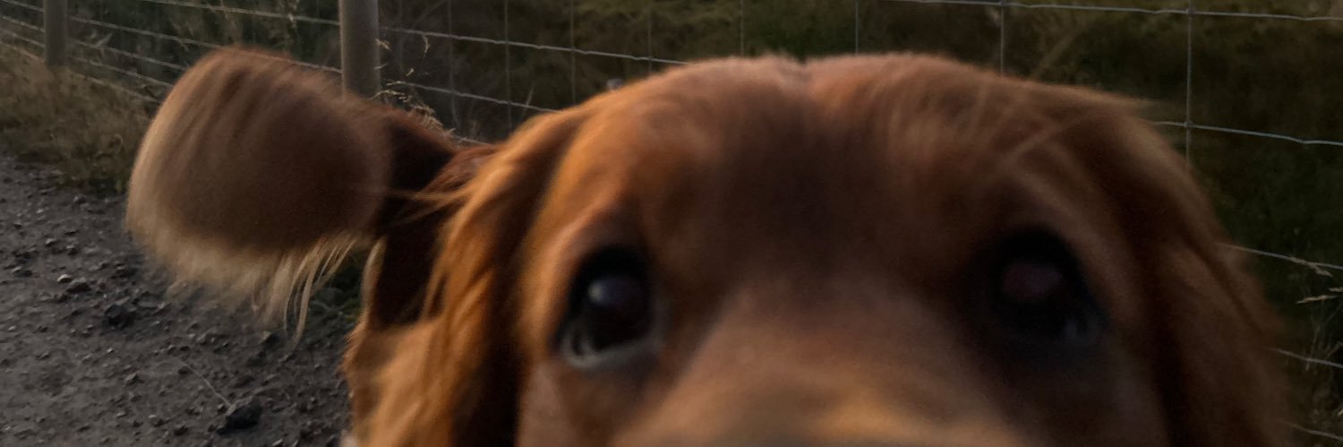 CraigPatience15's profile banner image