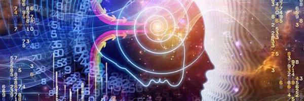 Dr Danielle Kelly banner