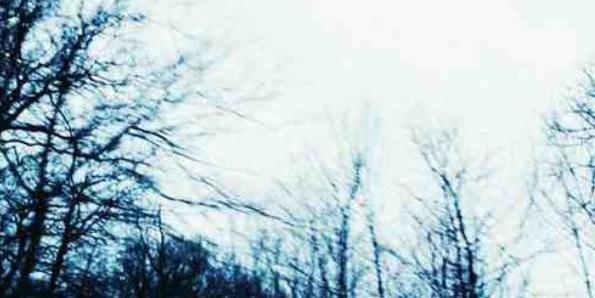 MiniSongQuotes's profile banner image