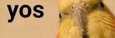 __scatha__'s profile banner image