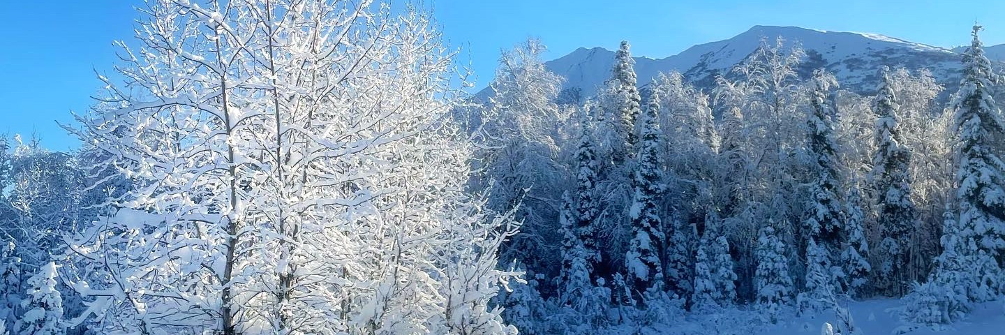 NWS Alaska Region banner