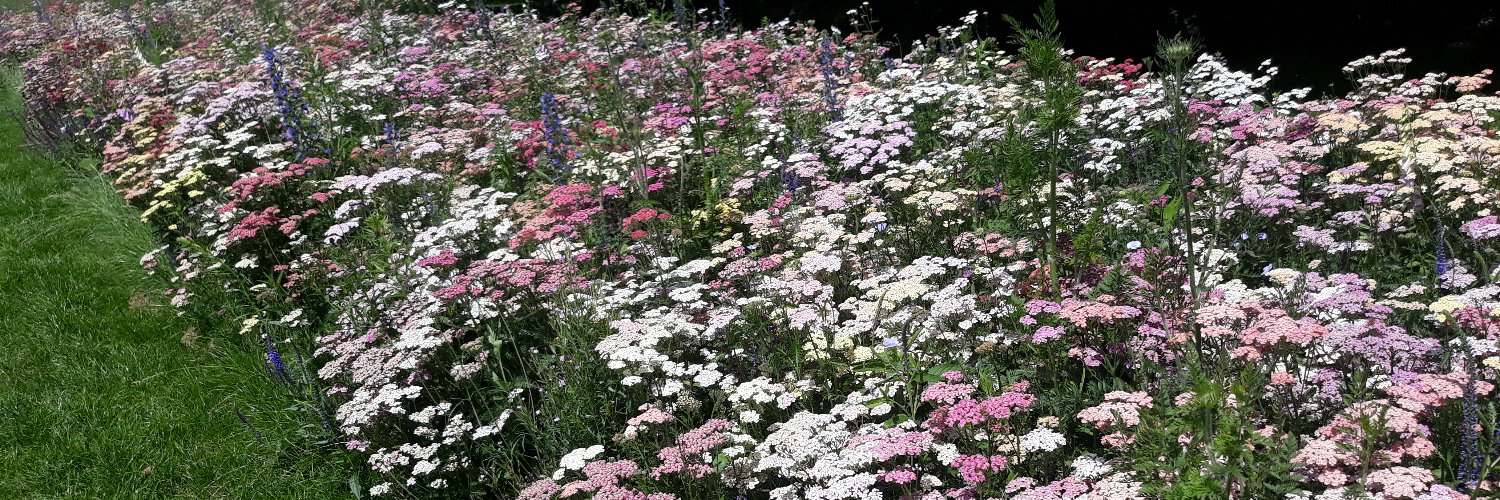 Landscape Solihull banner