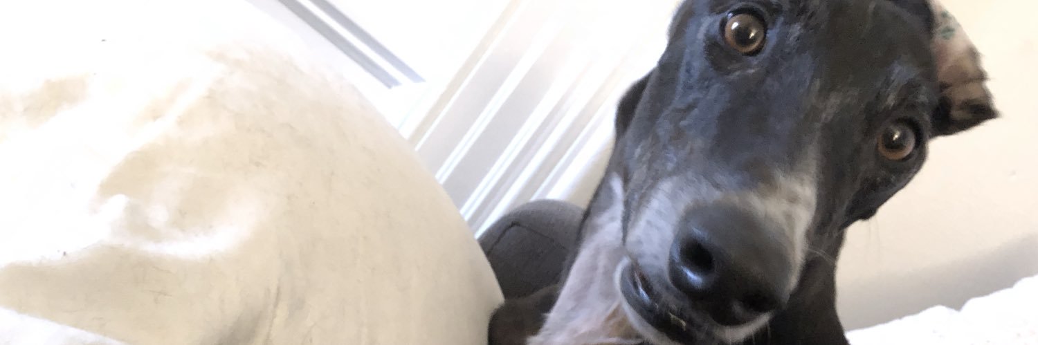 Stroypet's profile banner image