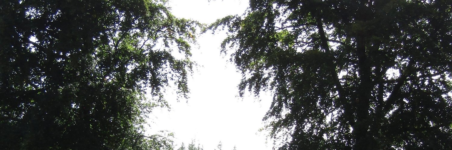 tenpercenter06's profile banner image