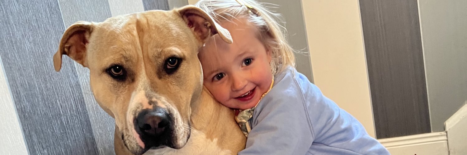 erinwaalker's profile banner image