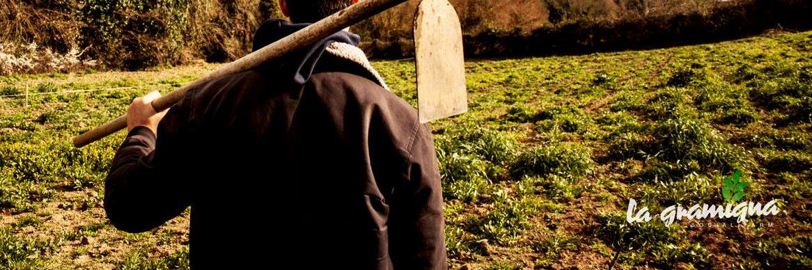CoopGramigna's profile banner image