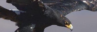 emsal_mustafa's profile banner image