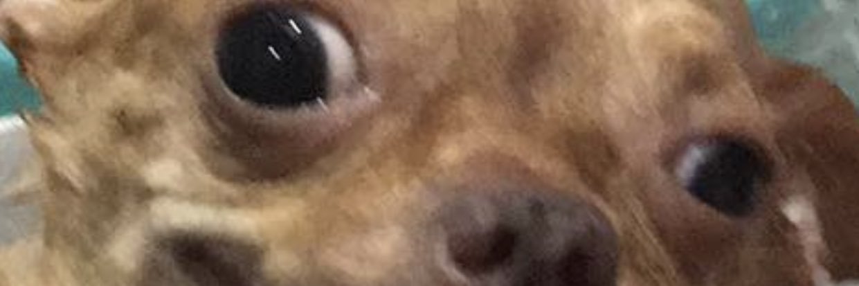 danisaur_45's profile banner image