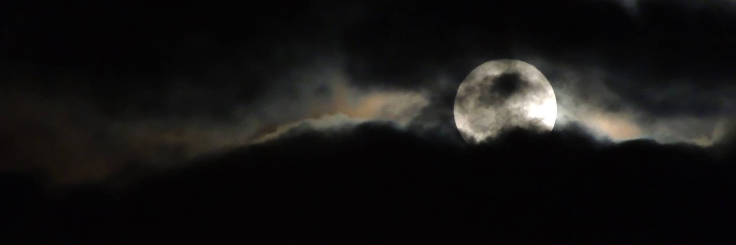 NoHayNothing's profile banner image