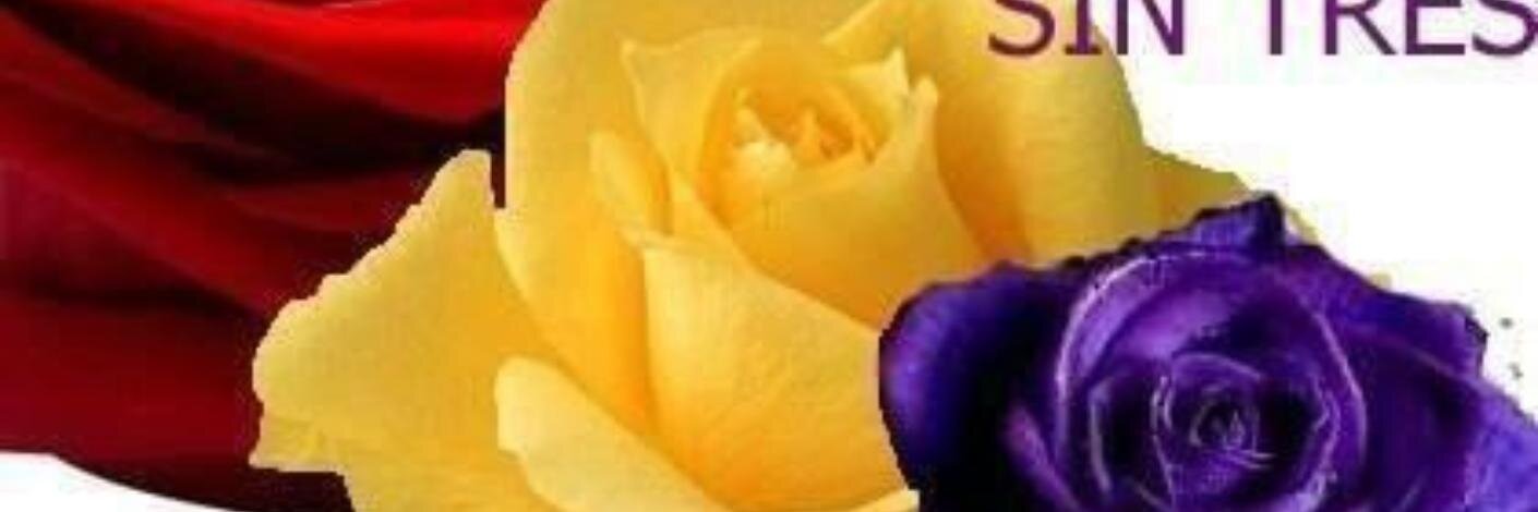 Francisca Morales banner