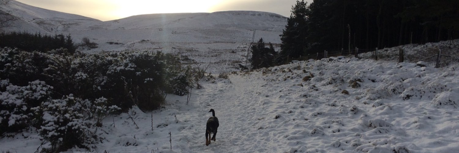 ConnieEMcgregor's profile banner image