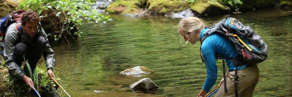 Dr. Suzanne Kelson banner