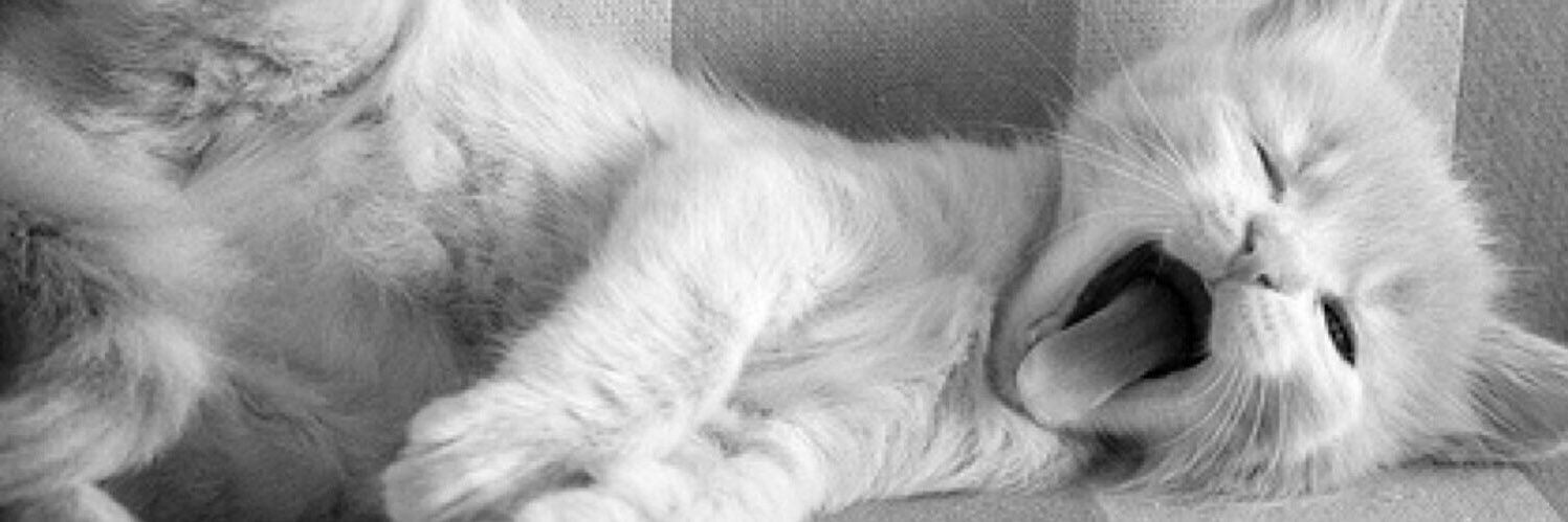 loweasy's profile banner image