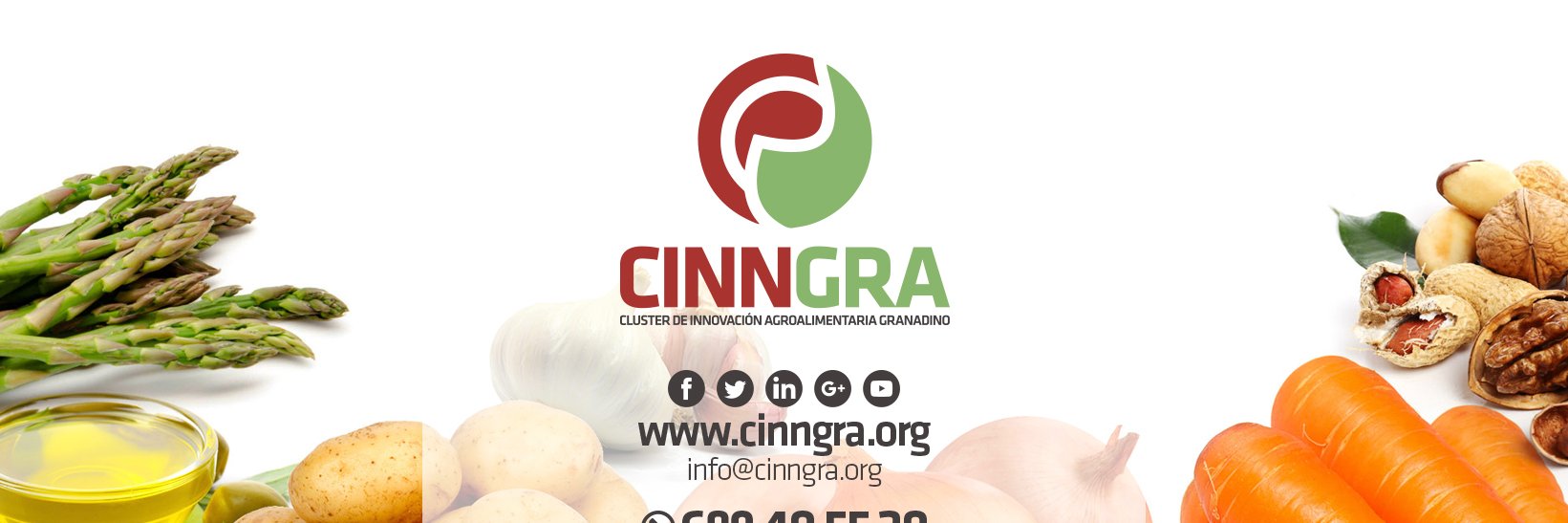 cinngra's profile banner image
