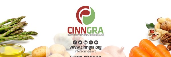 cinngra Profile Banner