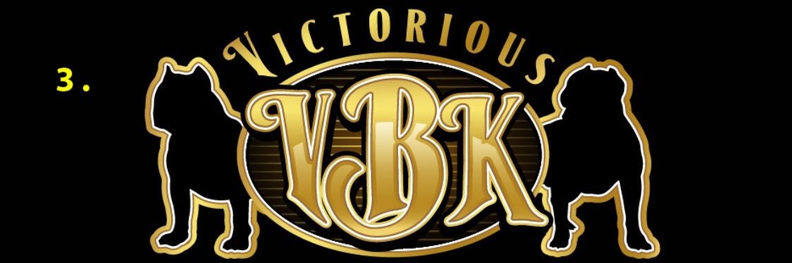 henne_harp16🎈 banner