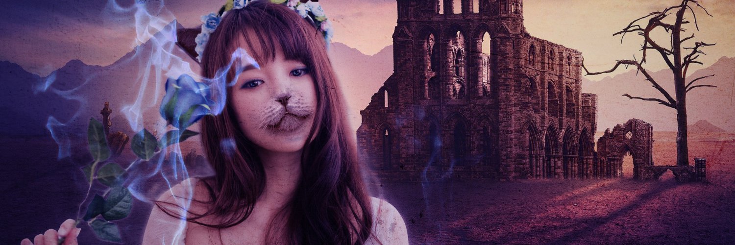 HsmtWeb's profile banner image