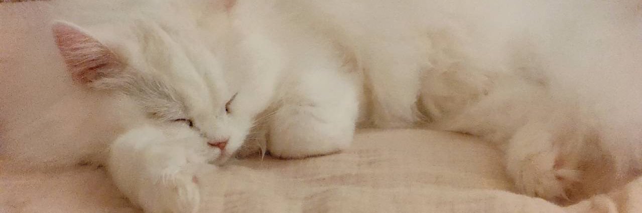 ka_yu_043's profile banner image