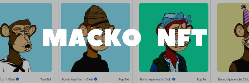 MackoNFT's profile banner image