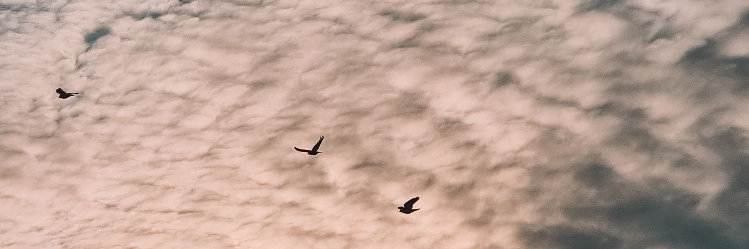 vmj1504's profile banner image